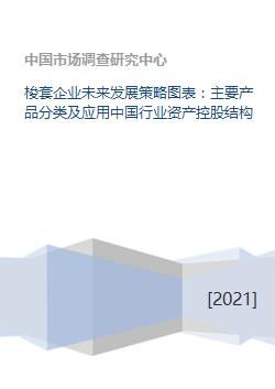 梭套企业未来发展策略图表 主要产品分类及应用中国行业资产控股结构