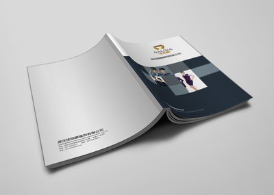 武汉画册设计公司_高端企业宣传册设计_集团样本设计,品牌,策划,产品